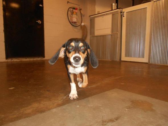 302585_301892106501217_148327345191028_1147909_1042504628_n