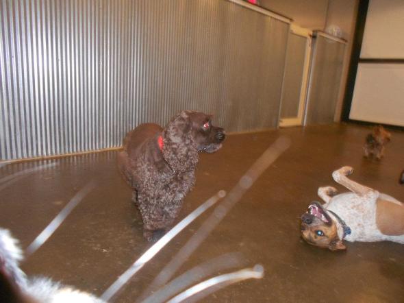 379864_303549649668796_148327345191028_1152626_887330204_n