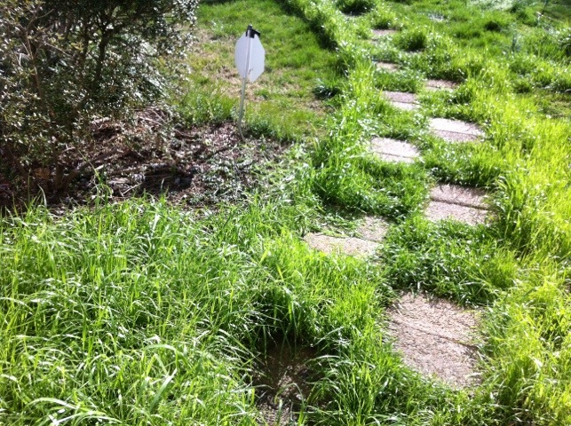 Summer prep and other weekend&nbsp;happenings