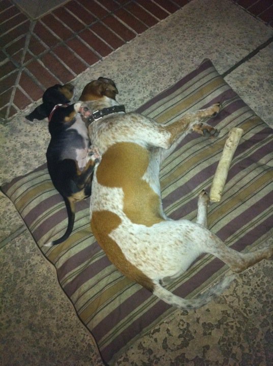 255101_640149817812_34100346_34084518_6518060_n