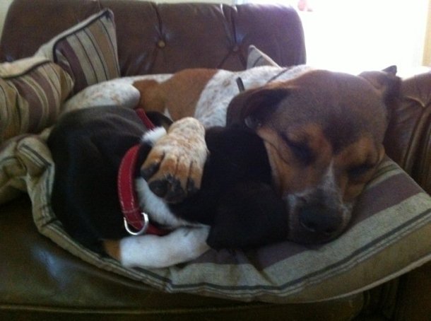 263128_655767834182_34100346_34162849_7345881_n