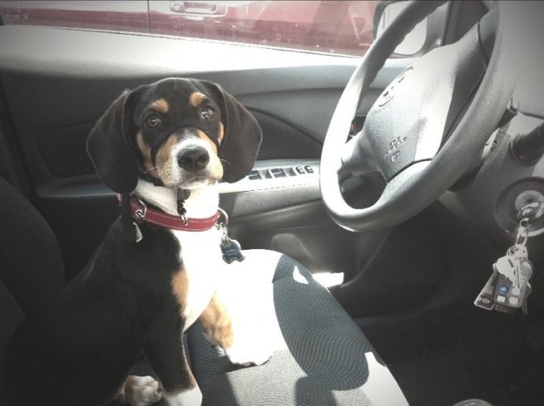 269886_657467562912_34100346_34192672_1006480_n