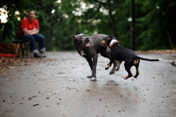 280696_658939832472_34100346_34217113_700832_o