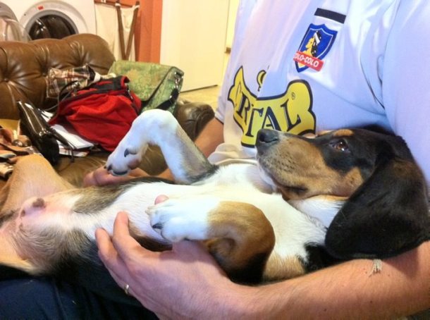 303132_670397231752_34100346_34361758_1529924509_n