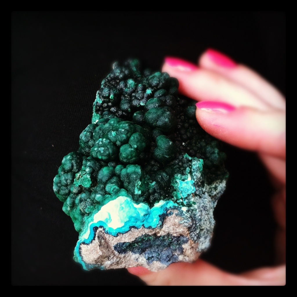 Windowsill Collection