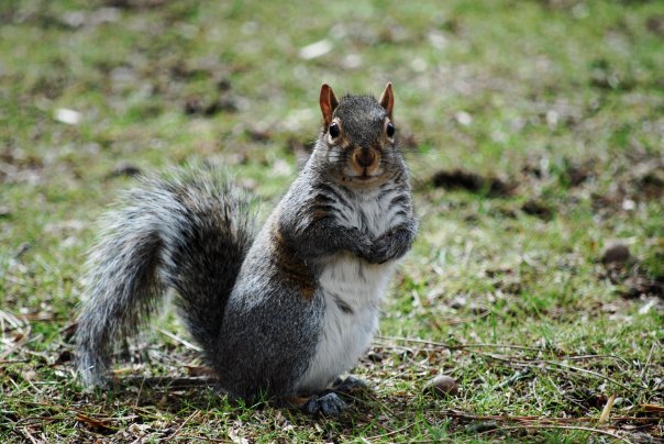 17877_566813349682_4704501_n