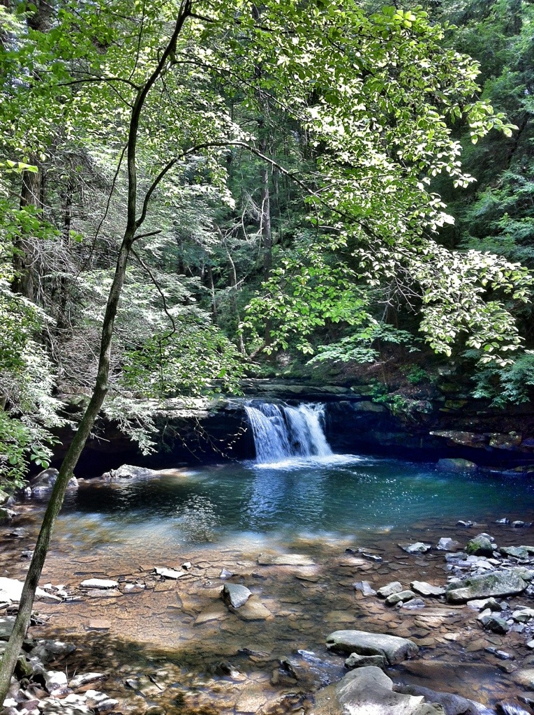 Quick Trip to&nbsp;Monteagle