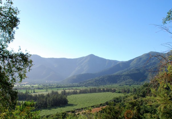 16759_562548511452_7320509_n