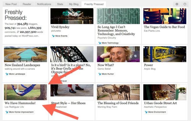 278168_786145900492_1773310572_o