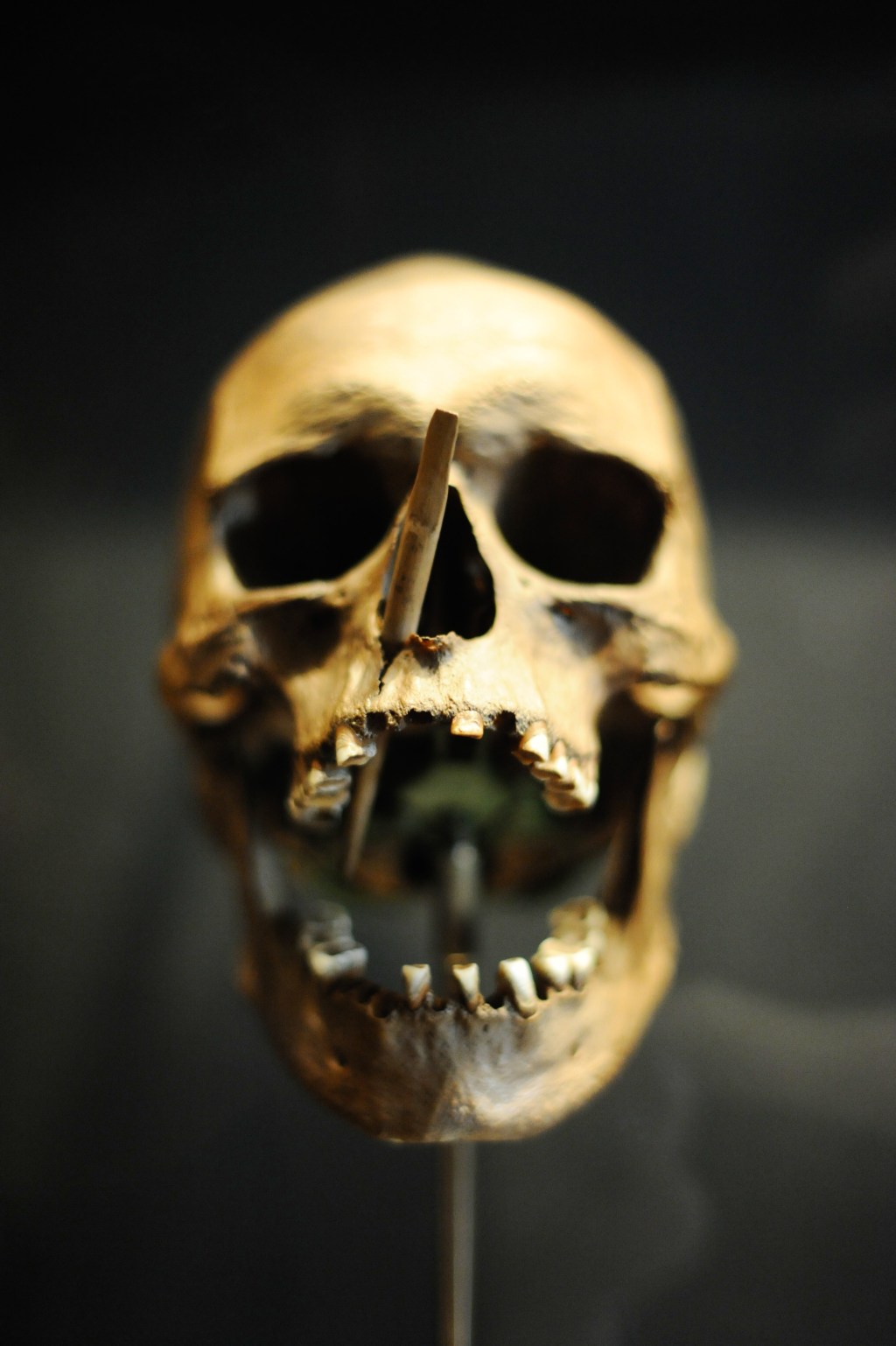 A museum, microbrewery and Copenhagen&nbsp;birthday