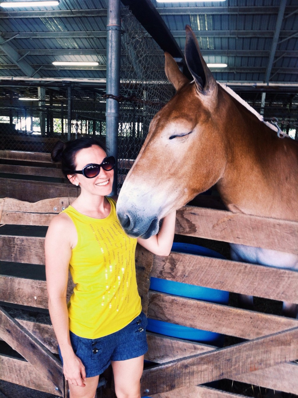 2013 TN State&nbsp;Fair