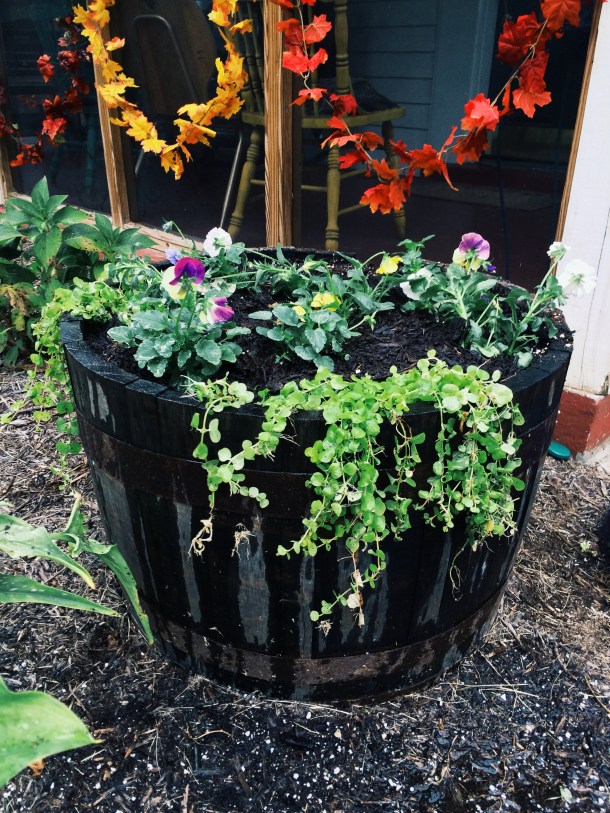 Processed with VSCOcam with g3 preset