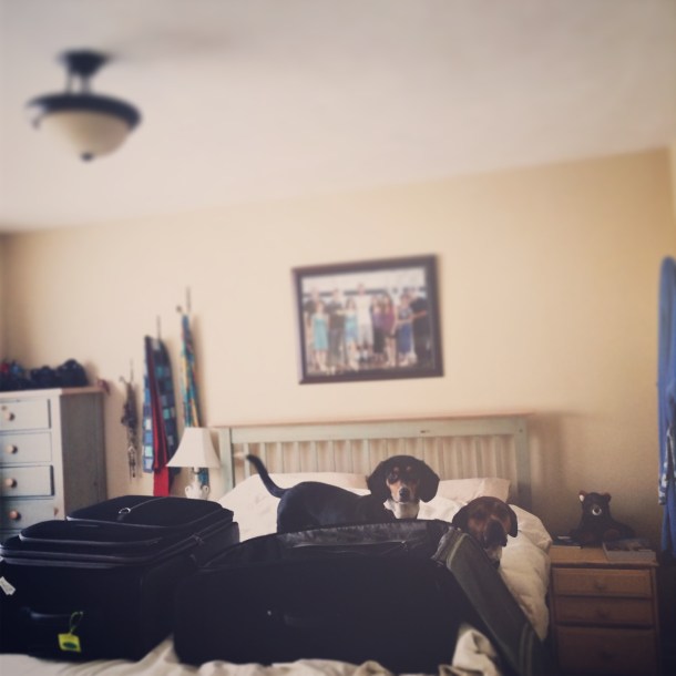 Processed with VSCOcam with 5 preset