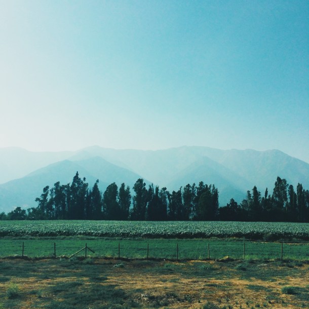 Processed with VSCOcam with g2 preset