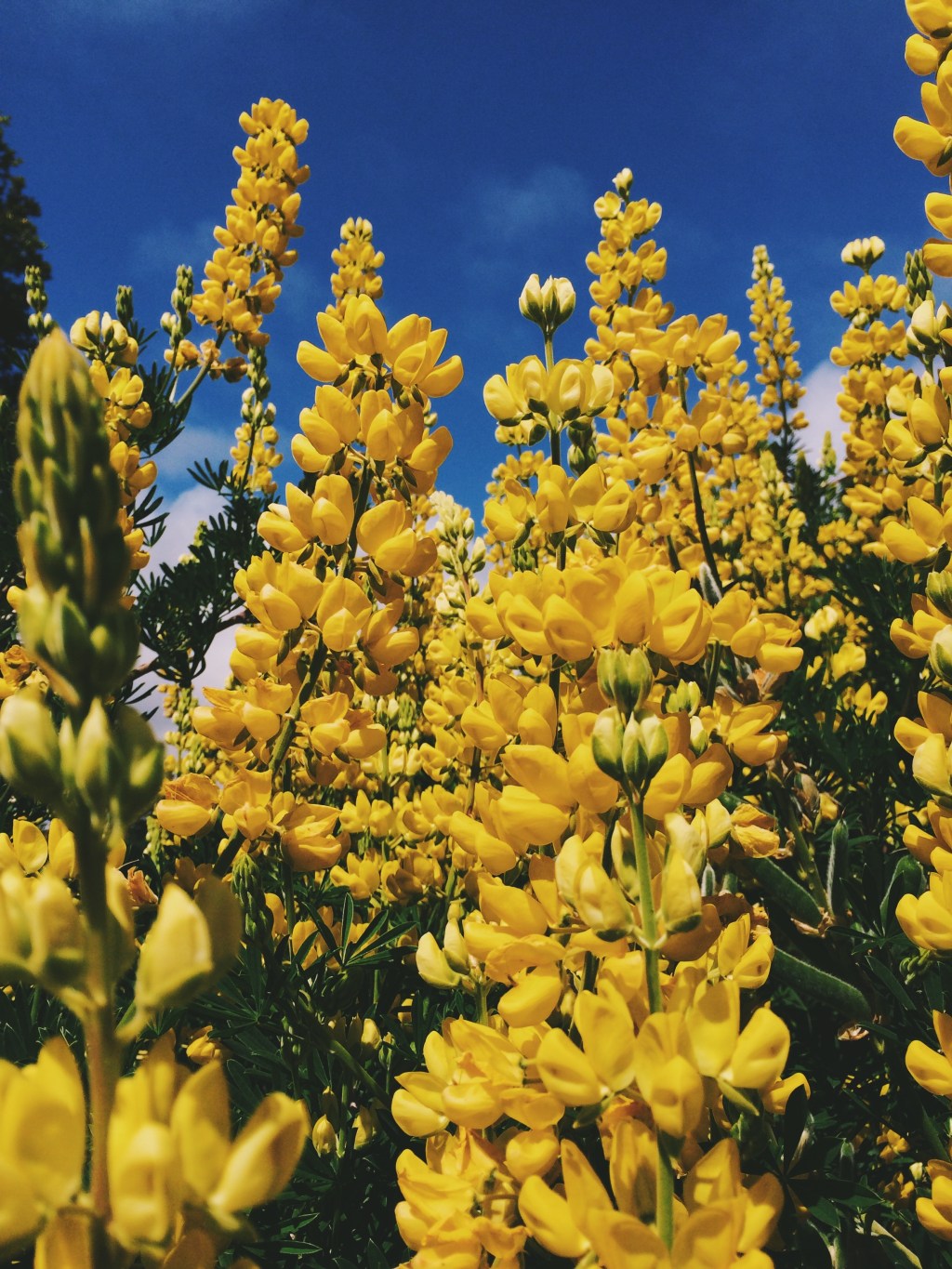 Roadtripping to the South of&nbsp;Chile