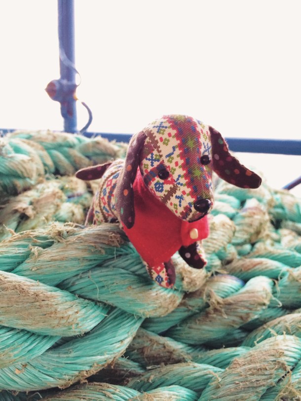 Processed with VSCOcam with s6 preset