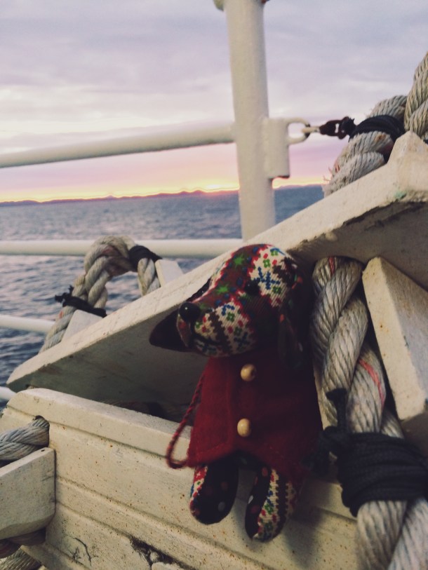 Processed with VSCOcam with s5 preset