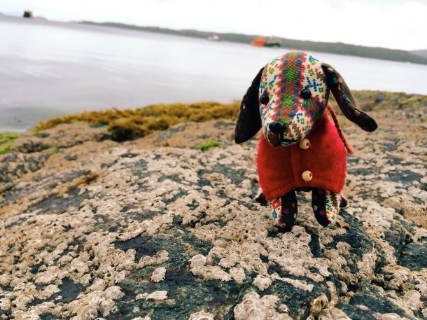 Processed with VSCOcam with c3 preset