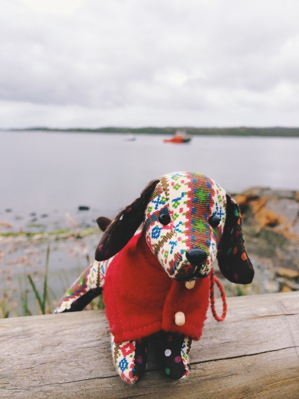 Processed with VSCOcam with f1 preset