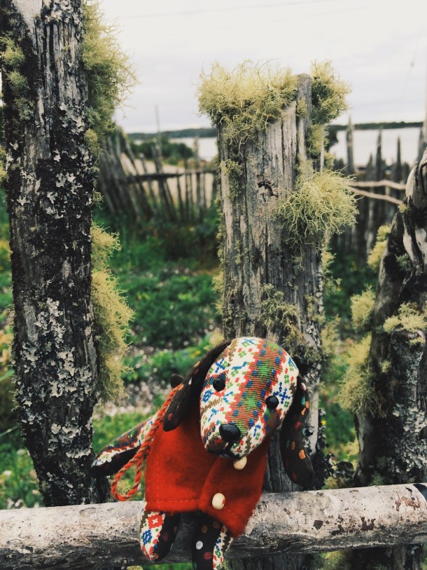 Processed with VSCOcam with g3 preset