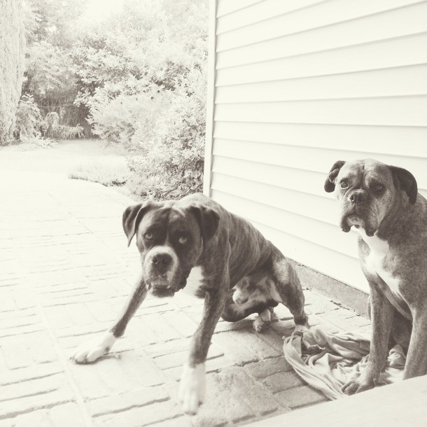 Processed with VSCOcam with x4 preset