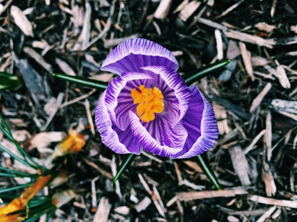 Processed with VSCOcam with c1 preset