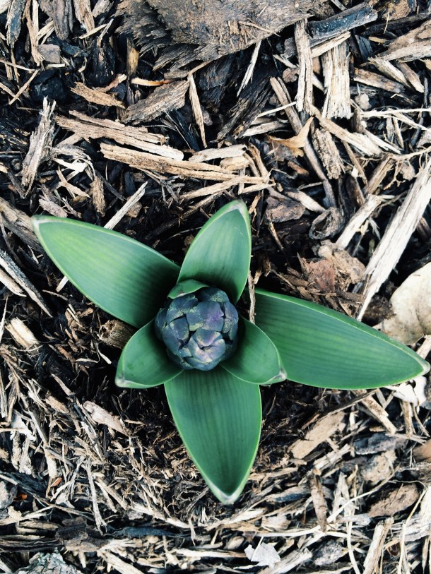 Processed with VSCOcam with g3 preset