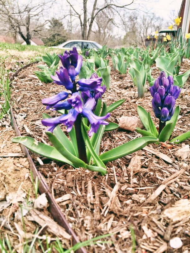 Processed with VSCOcam with 6 preset