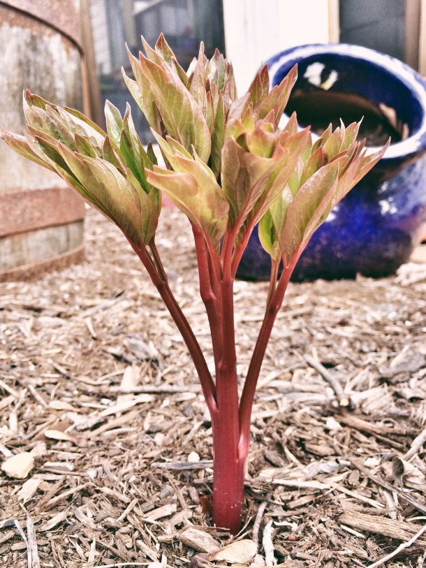 Processed with VSCOcam with 6 preset