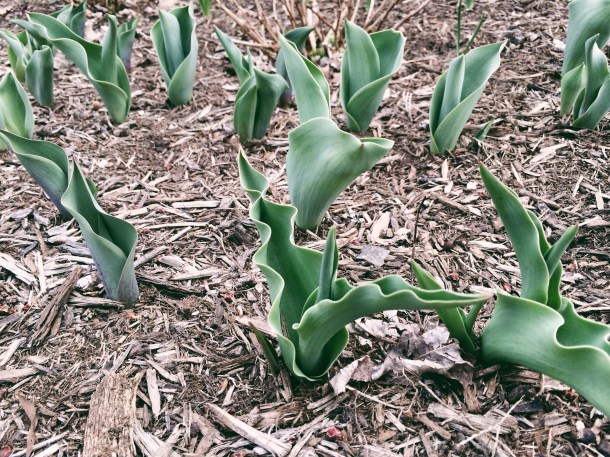 Processed with VSCOcam with 6 preset