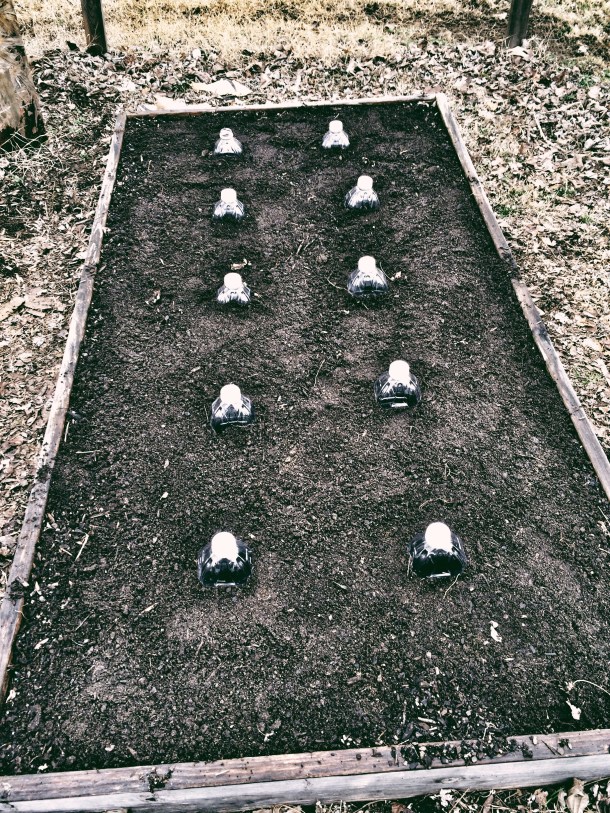 Processed with VSCOcam with 6 preset