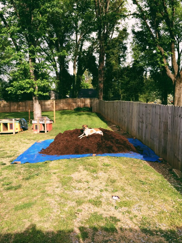 Processed with VSCOcam with 6 preset