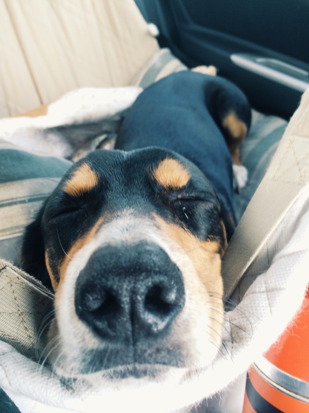 Processed with VSCOcam with g3 preset