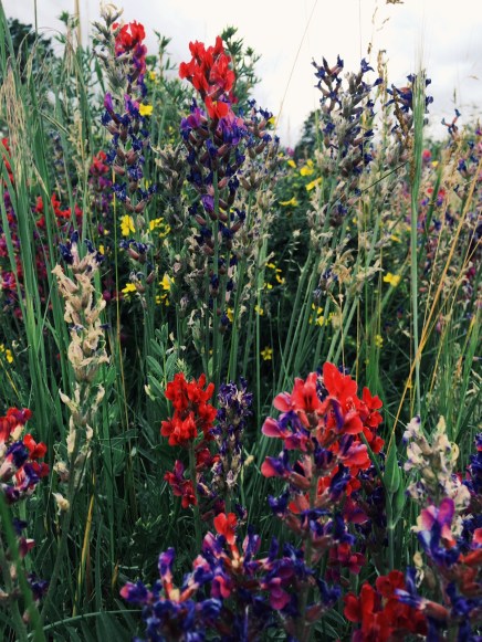 Processed with VSCOcam with g3 preset