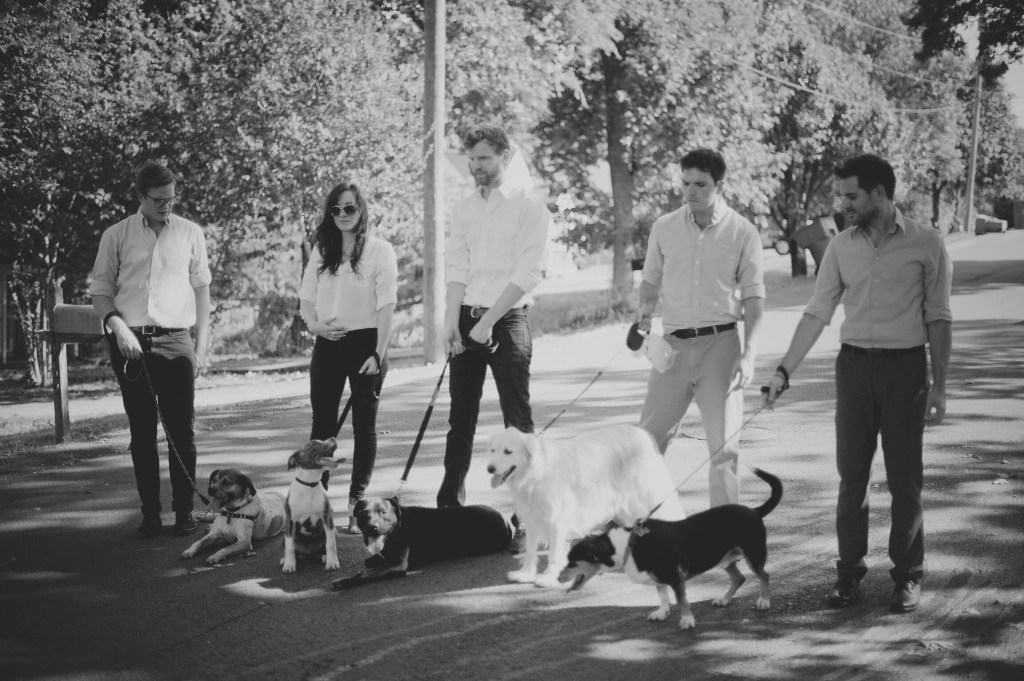 My doggos are video&nbsp;stars