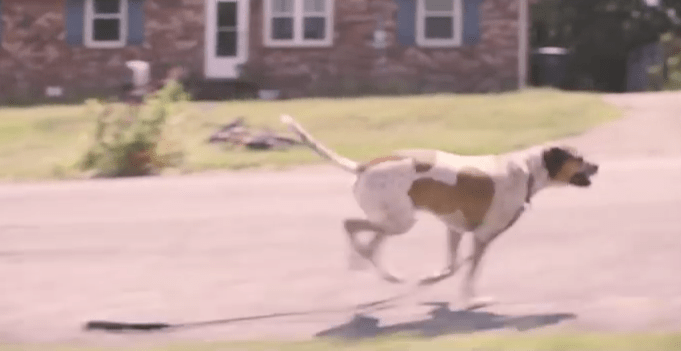 Screen Shot 2016-05-09 at 11.05.51 AM