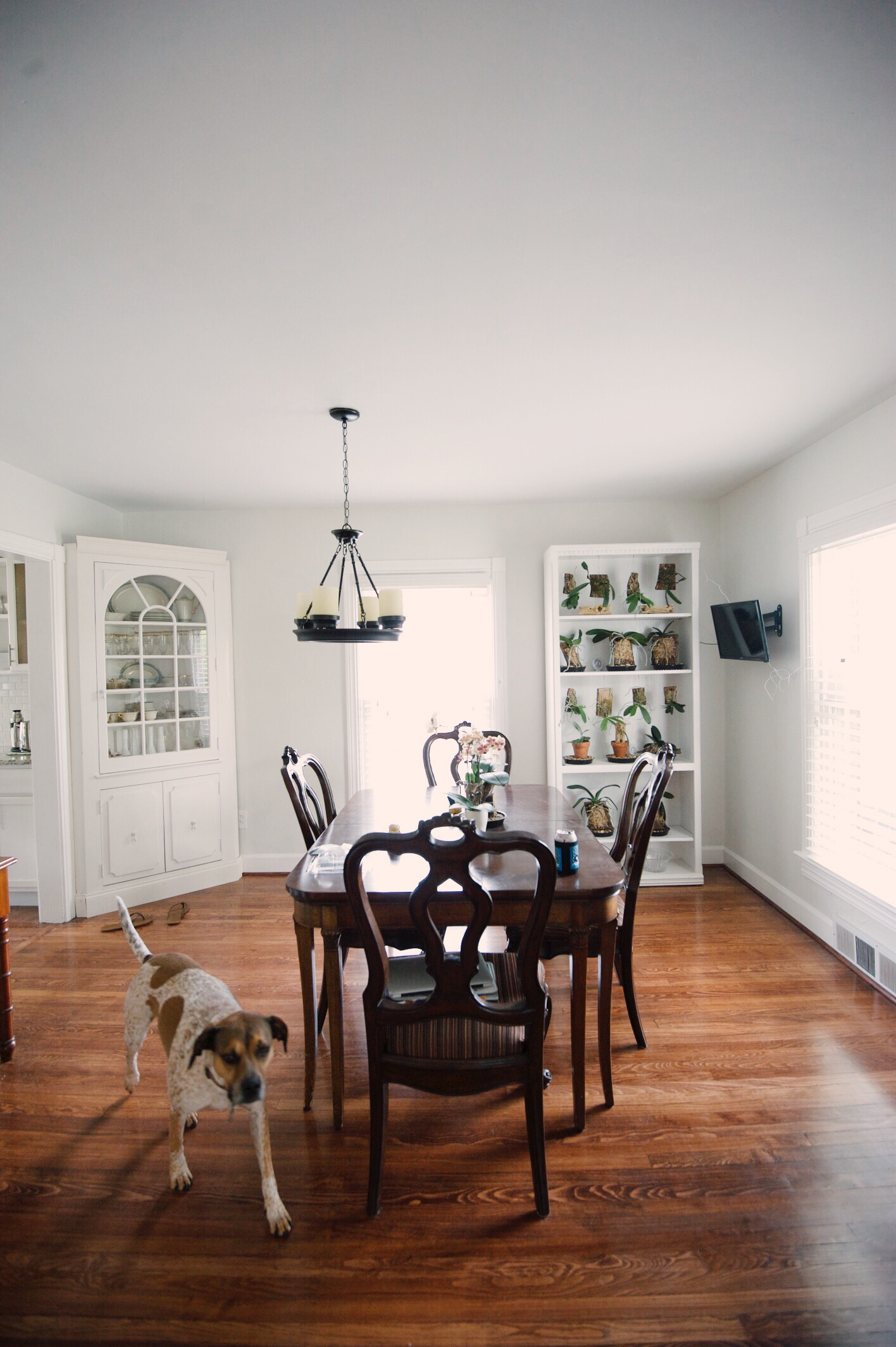 Processed with VSCO with e4 preset