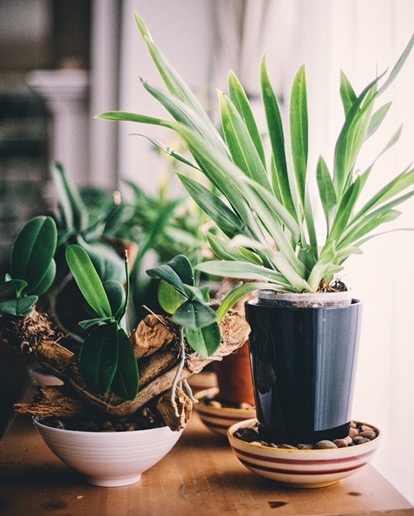 Processed with VSCOcam with e5 preset