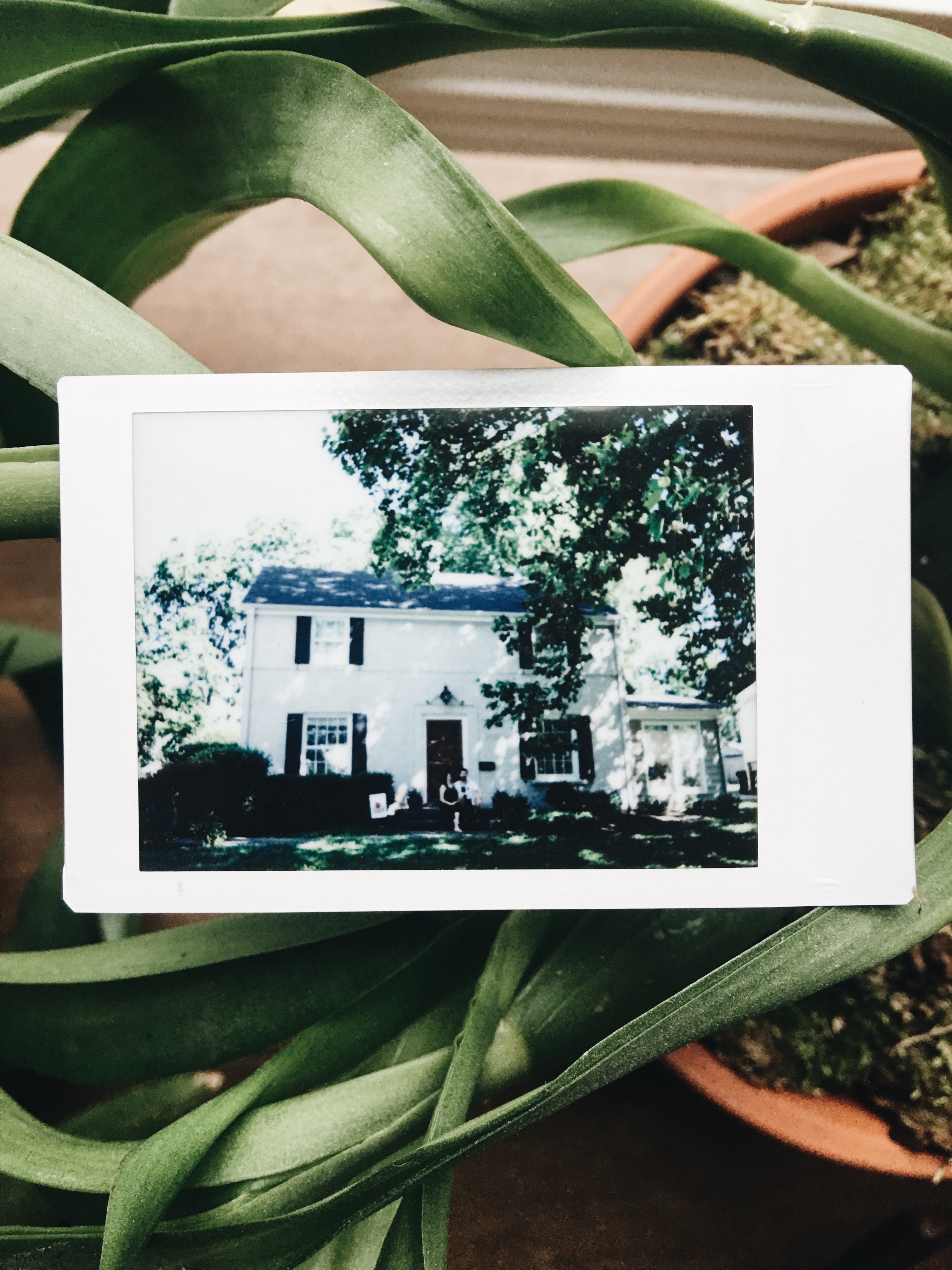 Processed with VSCO with a6 preset