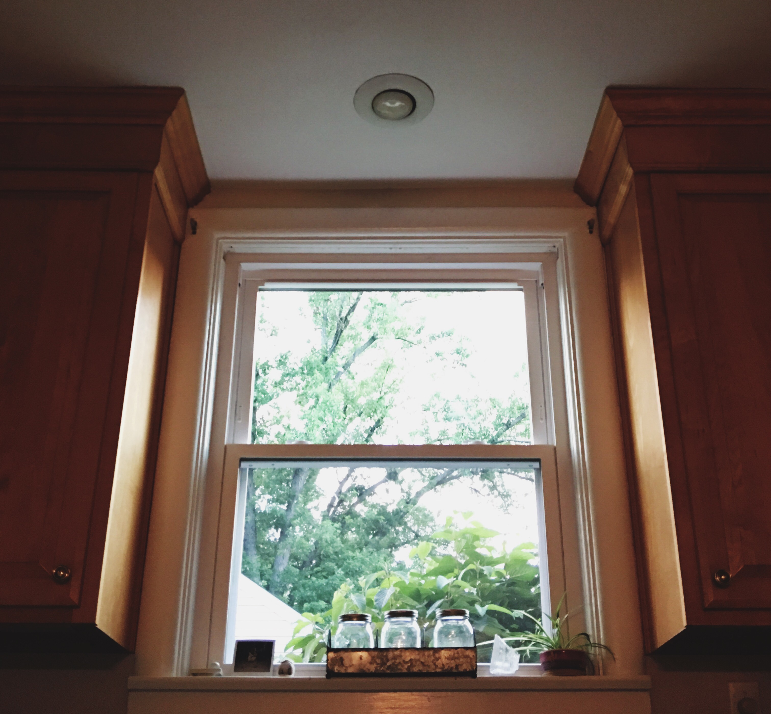 Processed with VSCO with 4 preset