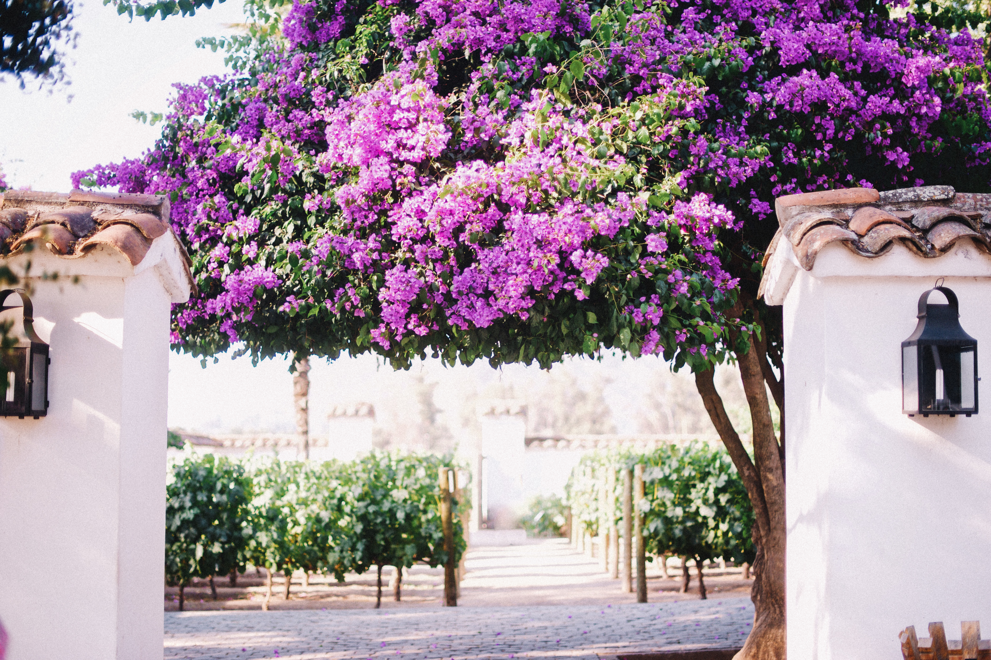 Photo Dec 17, 4 27 53 PM