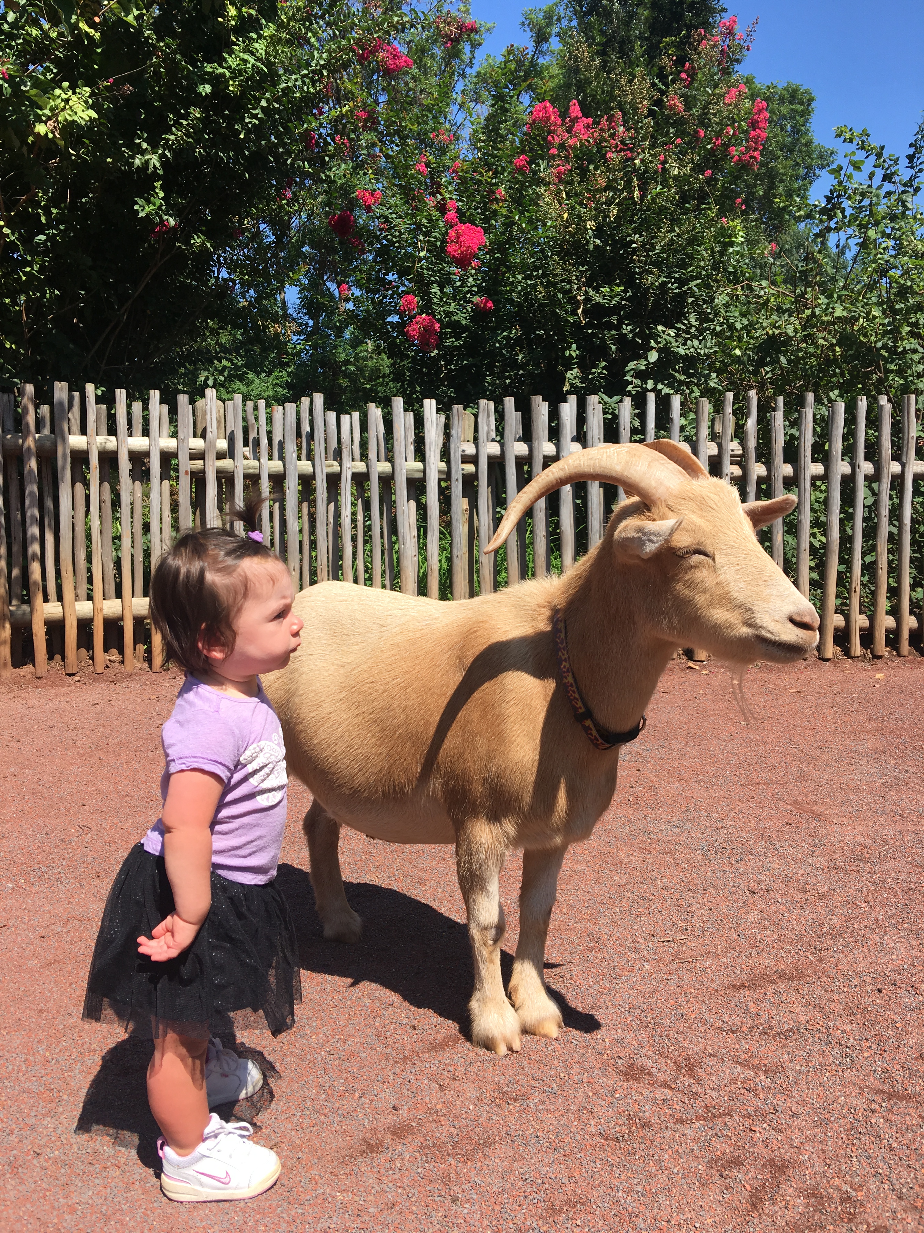 Photo Aug 23, 12 04 44 PM